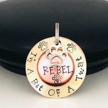 Dog ID Tag, Dog Tags For Dogs, Pet ..
