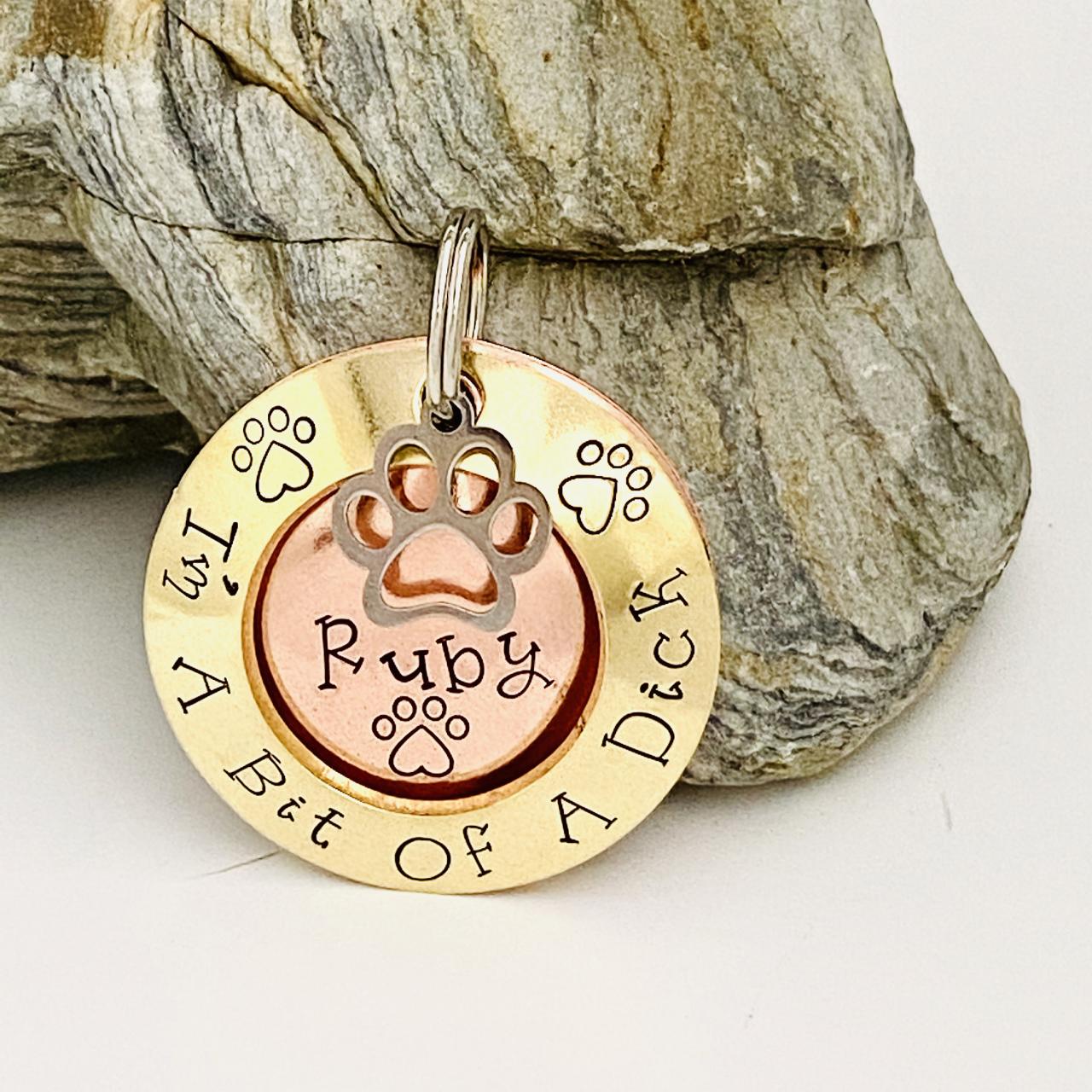 Dick Dog Tag Pet Identity Tag Dog Tags For Dogs Dog Collar Name