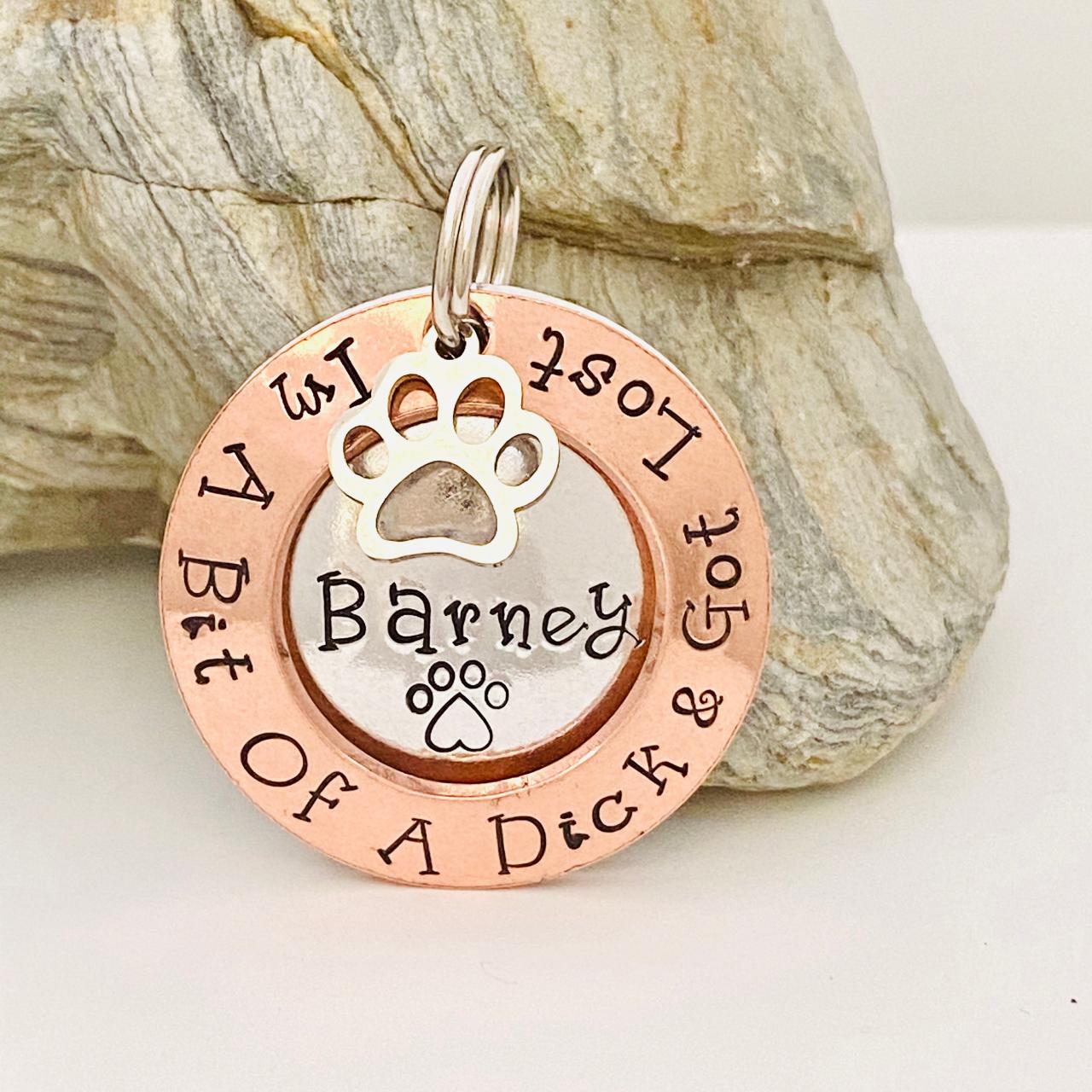 Funny name top tags for dogs