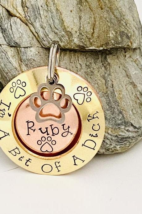 Dick Dog Tag, Pet Identity Tag, Dog Tags For Dogs, Dog Collar Name Tag, Puppy Dog Tag, Dog ID Tag, Funny Dog Tag, Strong Dog Tag.Brass Tag